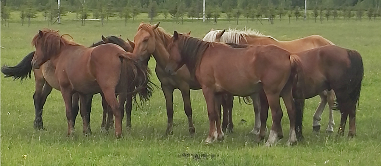 cf6e28a7bbfafdc86bef8d30e451752c.png cf6e28a7bbfafdc86bef8d30e451752c.png