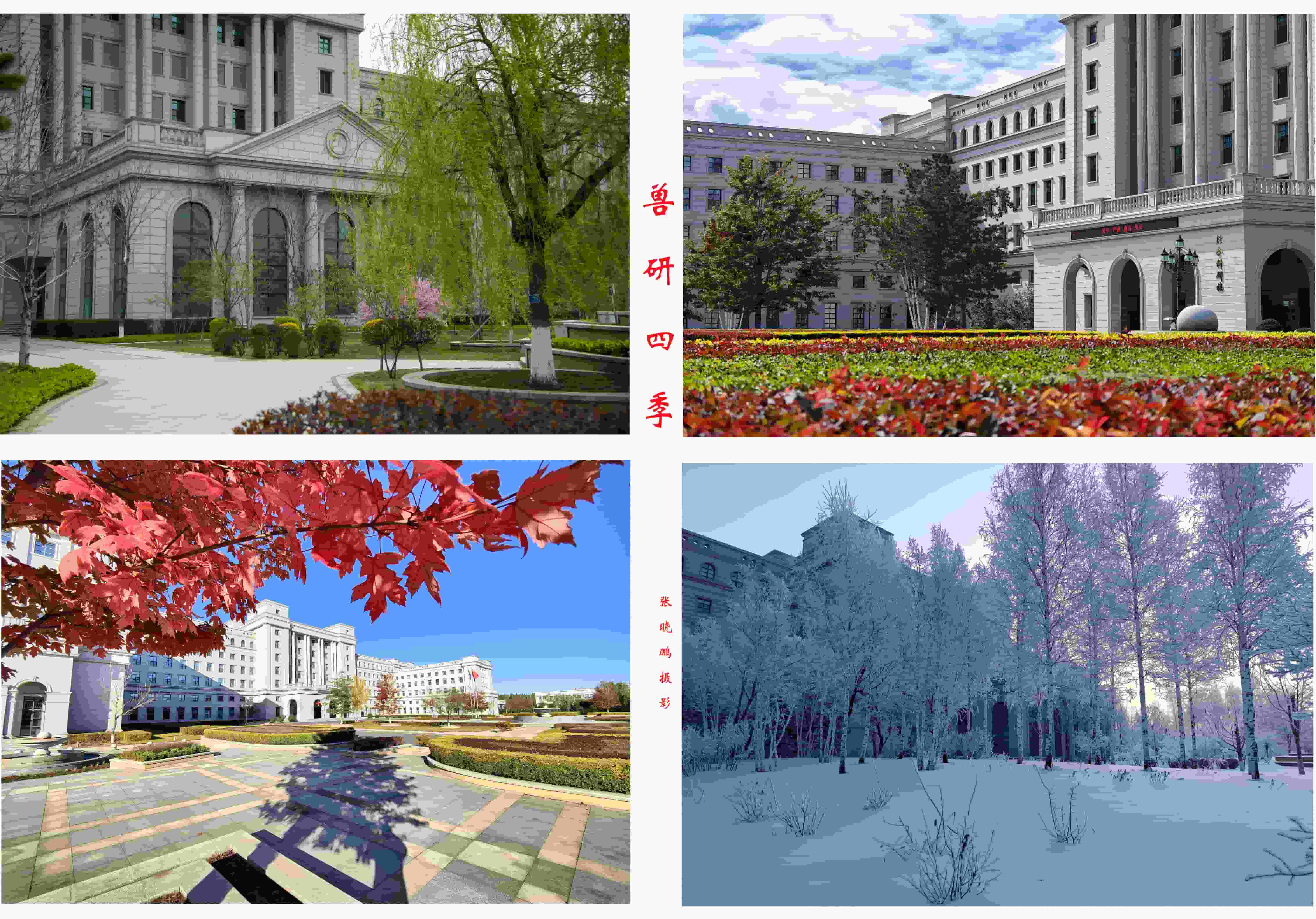獸研四季-張曉鵬.jpg